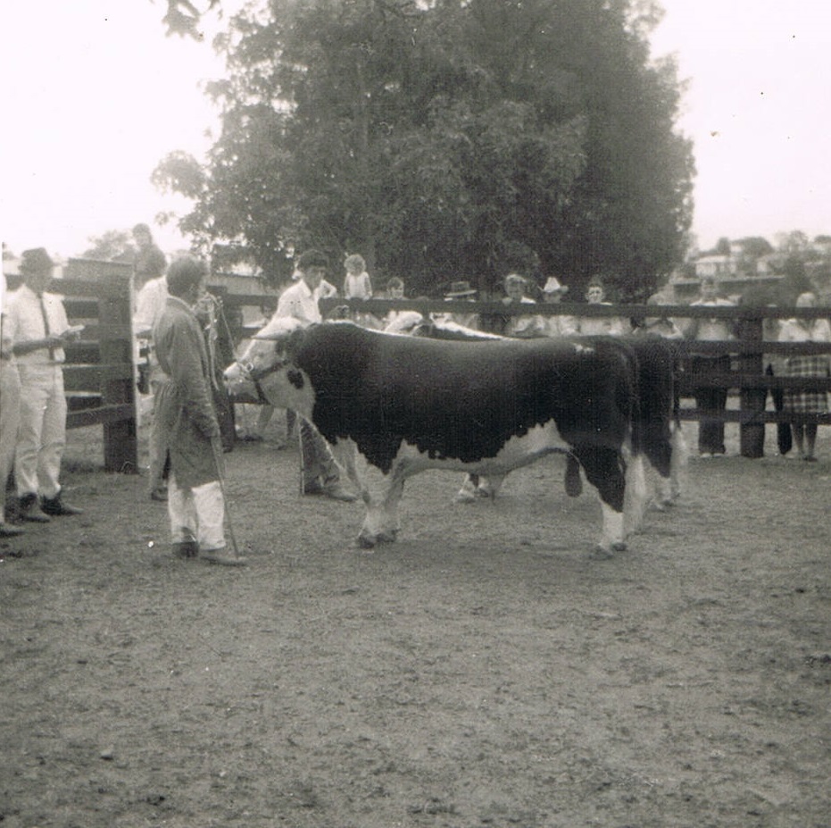 Hunday 3 - Chris with bull